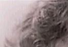images/gl-closeup1x1.jpg