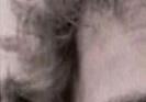 images/gl-closeup2x1.jpg