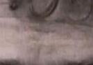 images/gl-closeup2x2.jpg