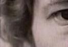 images/gl-closeup3x1.jpg