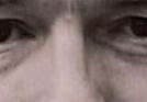 images/gl-closeup3x2.jpg