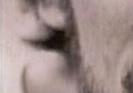 images/gl-closeup4x1.jpg