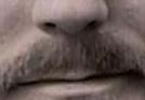 images/gl-closeup4x2.jpg