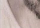 images/gl-closeup5x1.jpg